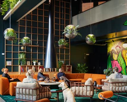 Loungeyta med människor och en hund.