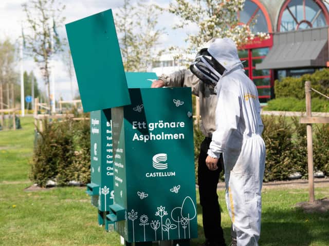 Biodlare som tar hand om bikupa