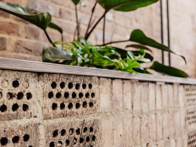 Tegel har murats upp till en sittbänk med en plantering av grön växt.