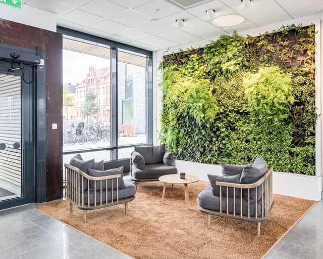 Entre med grön växtvägg.