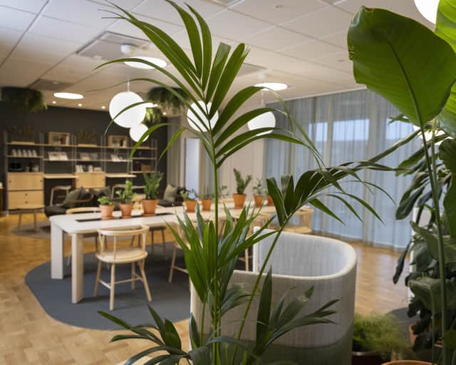 Öppen touchdown yta med mycket gröna växter