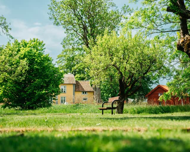 Grön trädgård med sittbänk
