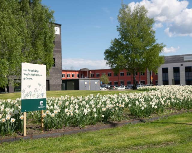 Nyplantering av vårlökar utanför en fastighet