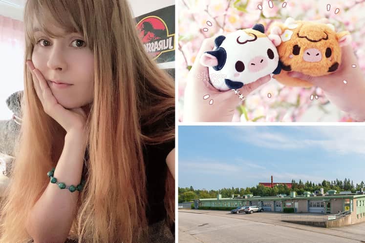 Kollage med mjukisdjur, fastigheten och Ida.