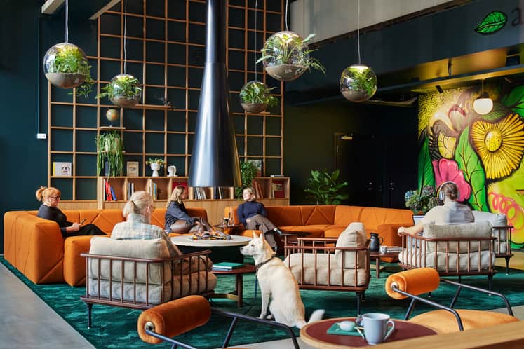 Loungeyta med fem personer och en hund