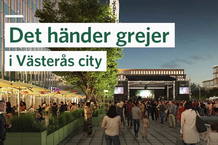 Visionsbild av utomhuskonsert.