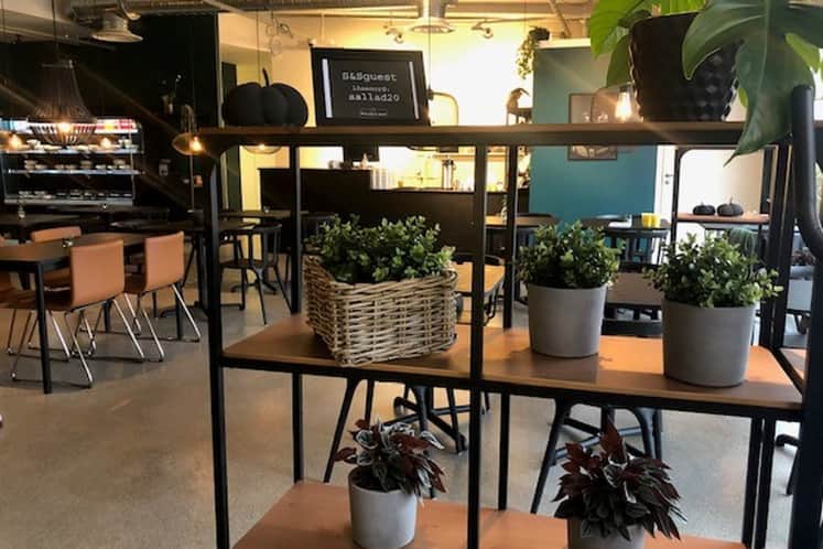 Hylla med krukväxter i matsalen.