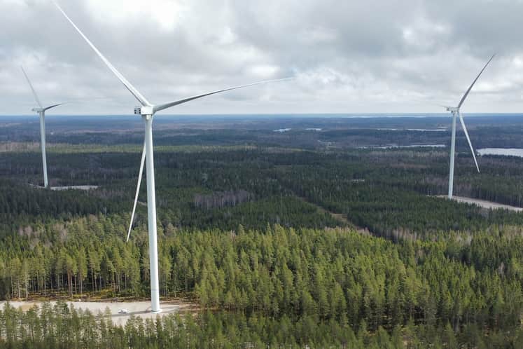 Vindkraftverk som står bland skog 