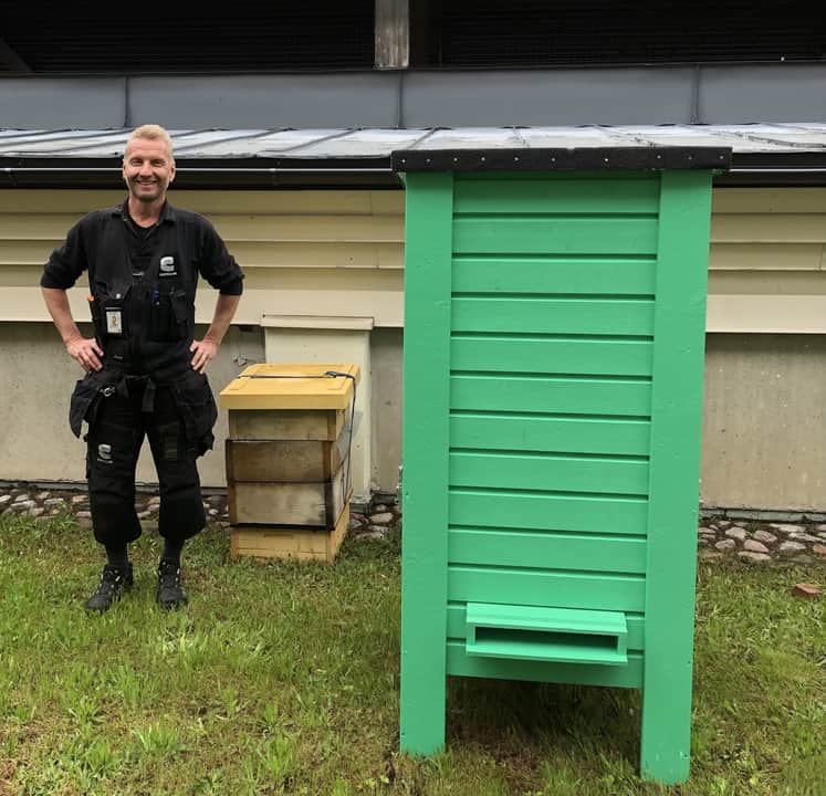 En grönmålad bikupa som står på ett tak