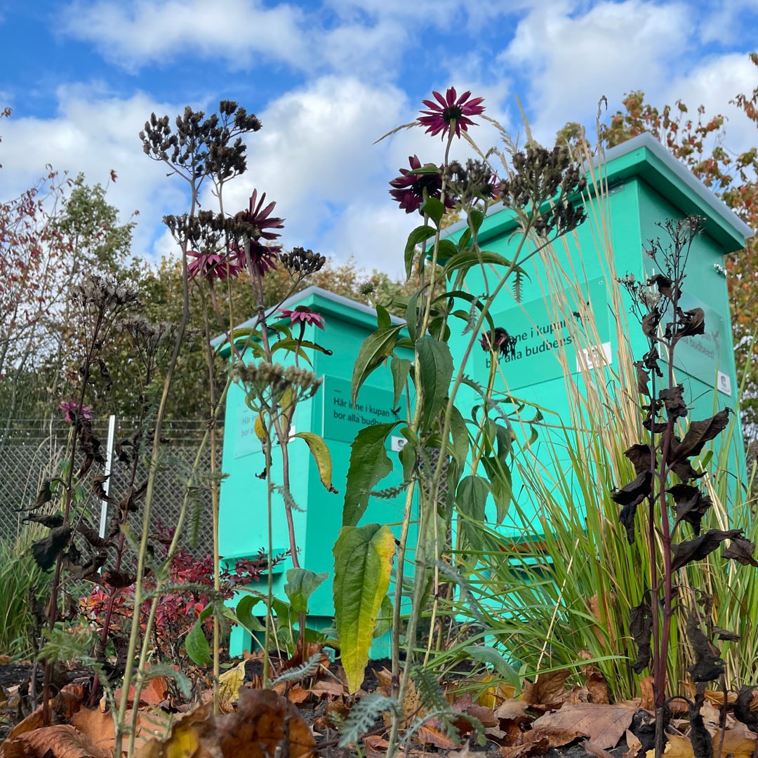 N&auml;rbild p&aring; bikupor i gr&ouml;nska.