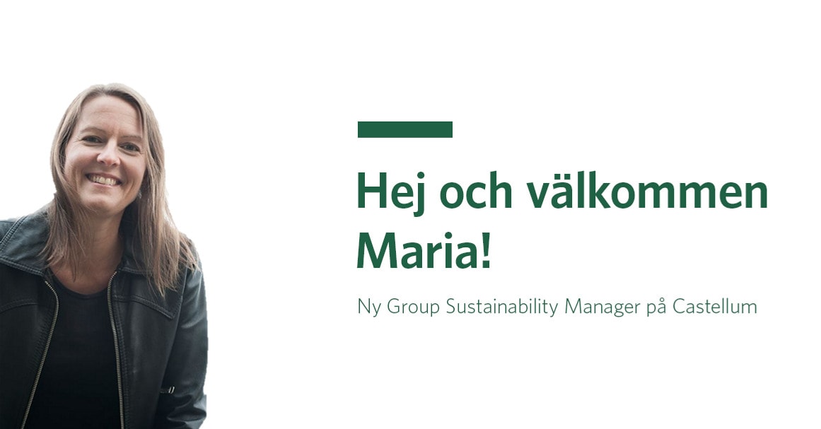 Grafik och portr&auml;tt av Maria.