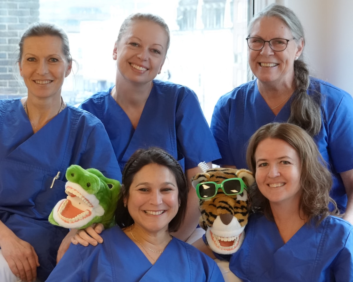 fem glada personer ikl&auml;dda bl&aring;a v&aring;rdkl&auml;der. Tv&aring; nallar, en krokodil och en tiger mellan personerna. Tigern b&auml;r solglas&ouml;gon