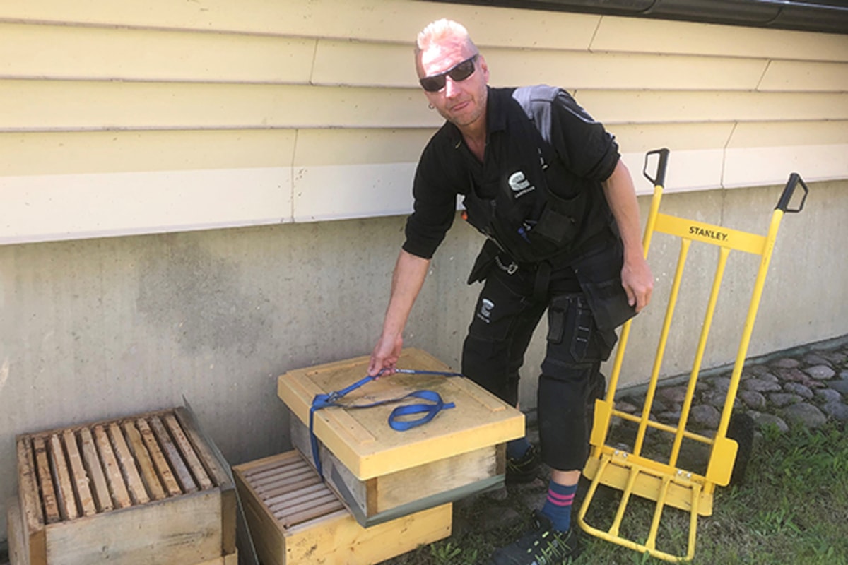 Castellumanst&auml;lld vid honungsl&aring;dor.